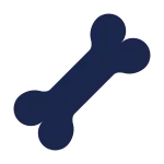 Bone SVG Icon